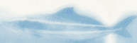 �F��饭�����A